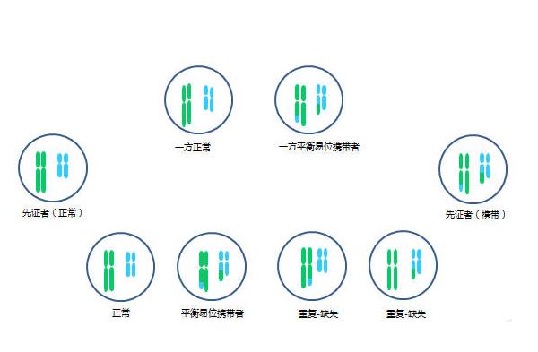 染色体平衡易位可以做试管婴儿吗？