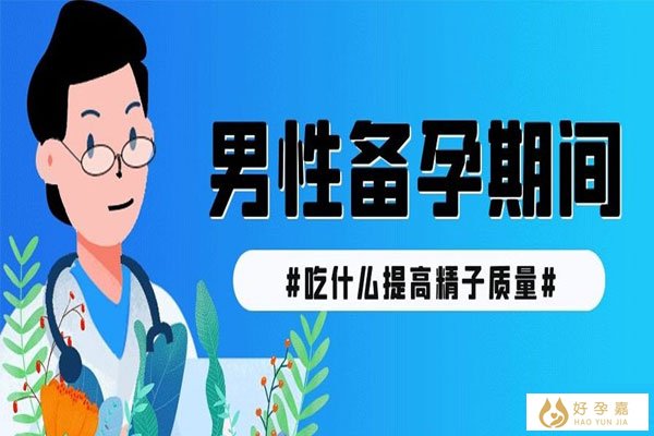 男性备孕期间吃什么提高精子质量