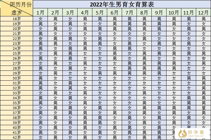 2022年清宫表正版