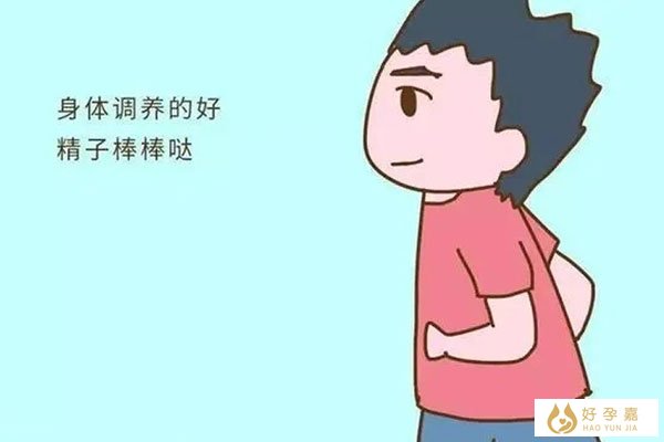 男性保持精力充沛需充电