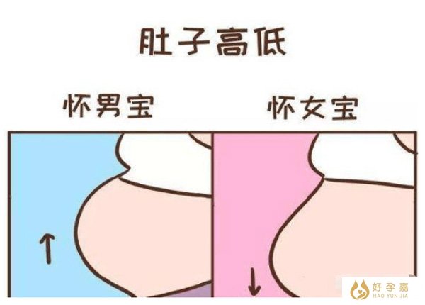 生男孩的孕妇肚子形状