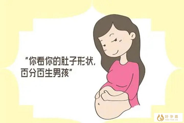 肚子形状