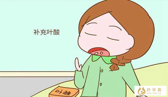 女性备孕必备的营养物质有哪些